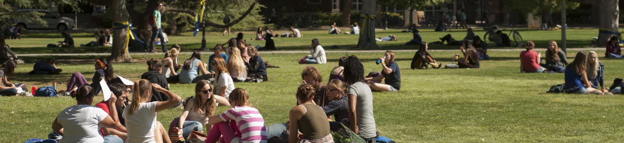 Students on lawn