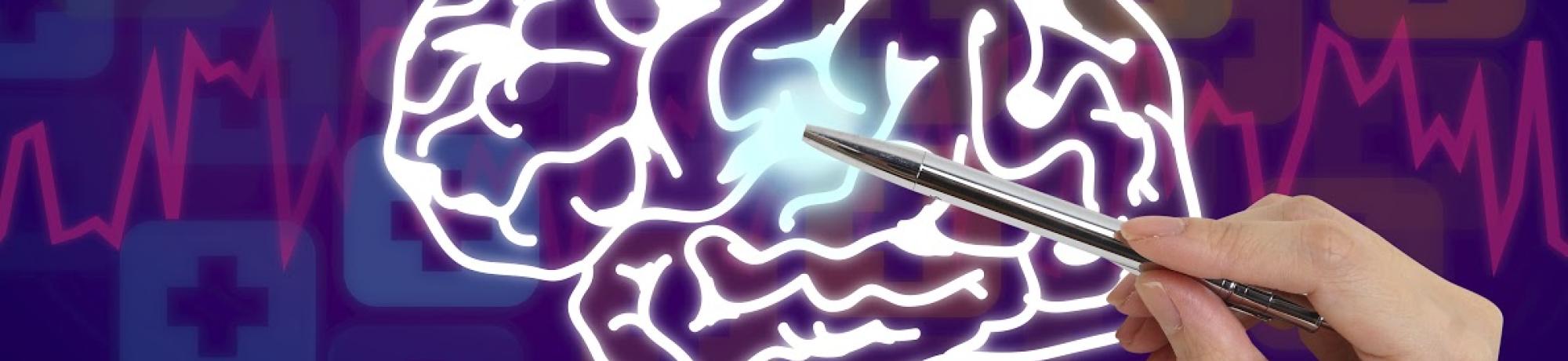 brain illustration