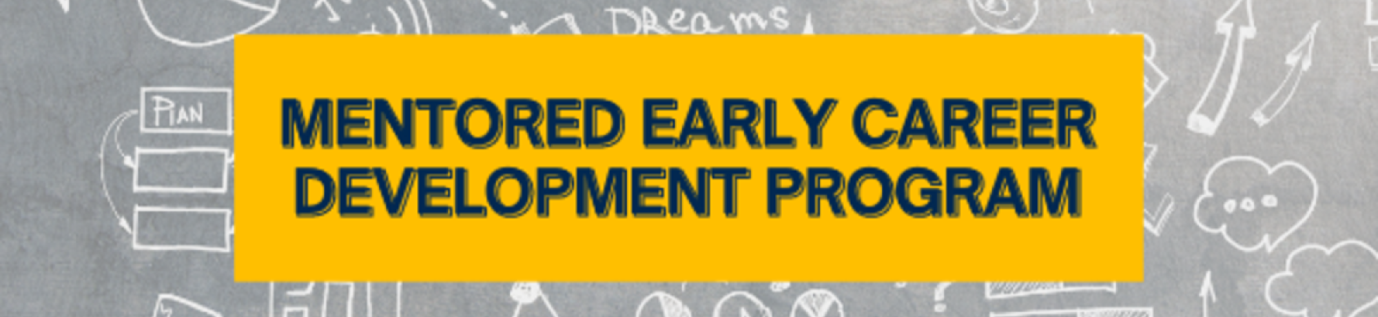 Mentored Early Career Development Award